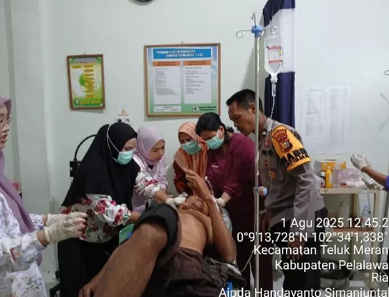 Diserang Harimau, Karyawan Kebun Nyaris Tewas